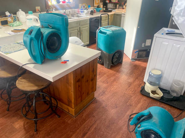 Best Ceiling water damage repair  in Kachina Village, AZ