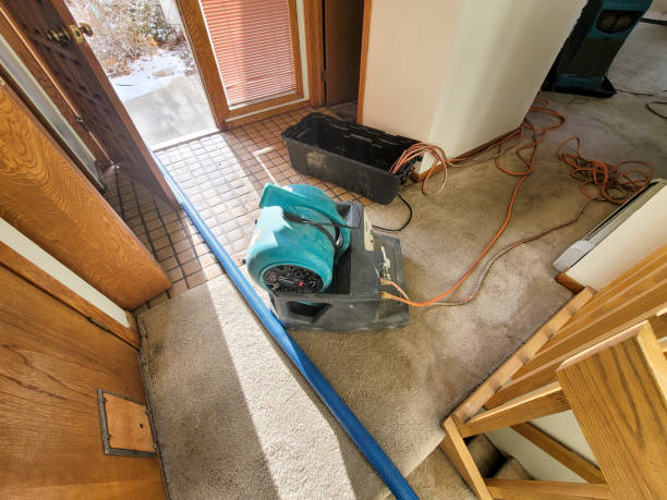 Best Water damage cleanup near me  in Kachina Village, AZ