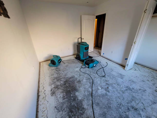 Best Ceiling water damage repair  in Kachina Village, AZ
