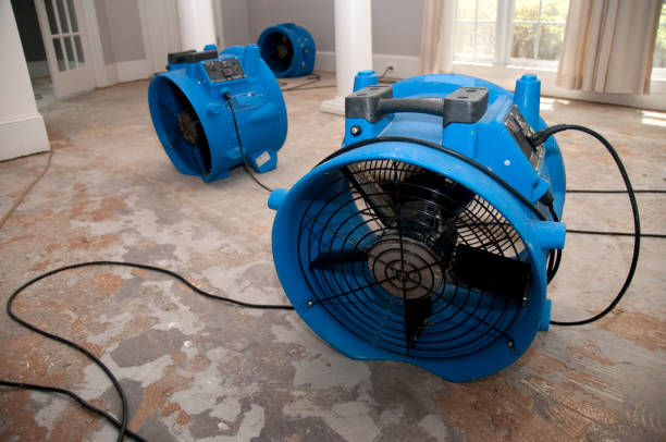Best Basement water damage restoration  in Kachina Village, AZ