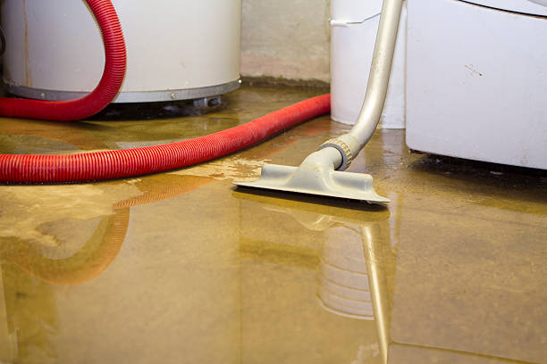 Best Water damage contractors near me  in Kachina Village, AZ