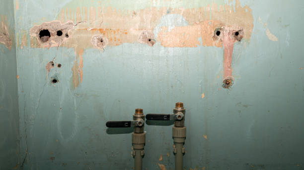 Best Water damage contractors near me  in Kachina Village, AZ