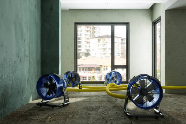 Best Flood restoration services  in Kachina Village, AZ